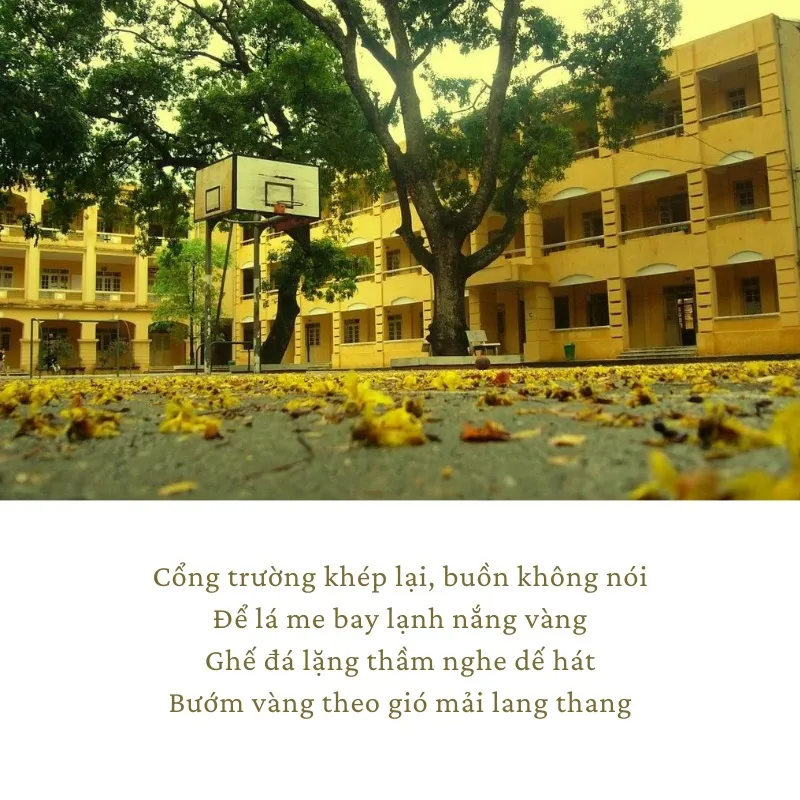 Thơ Tổng Kết Năm Học Hay Nhất