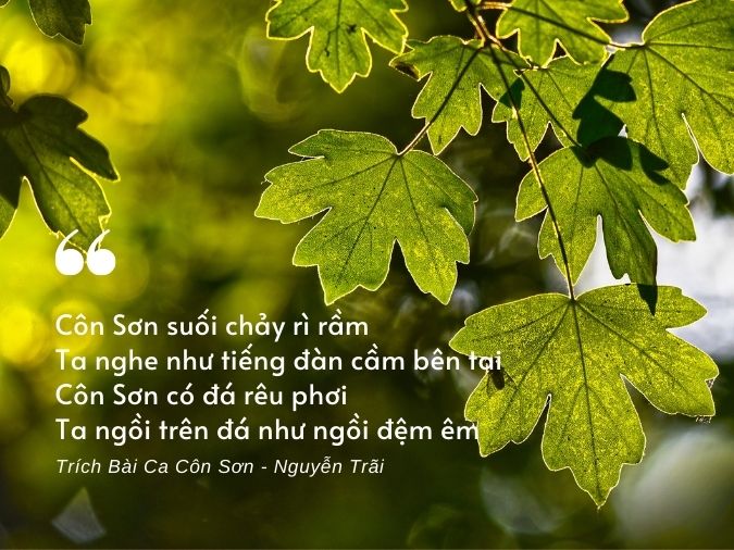 Những Bài Thơ Trữ Tình Hay Nhất: Gợi Cảm, Sâu Lắng Và Đầy Cảm Xúc Gallery 2