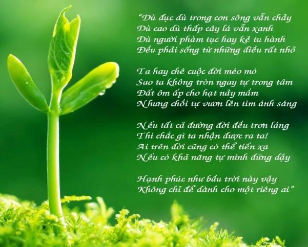 Thơ Tự Sự Nguyễn Quang Vũ: Tâm Tình, Cảm Xúc Và Hình Ảnh Đời Sống