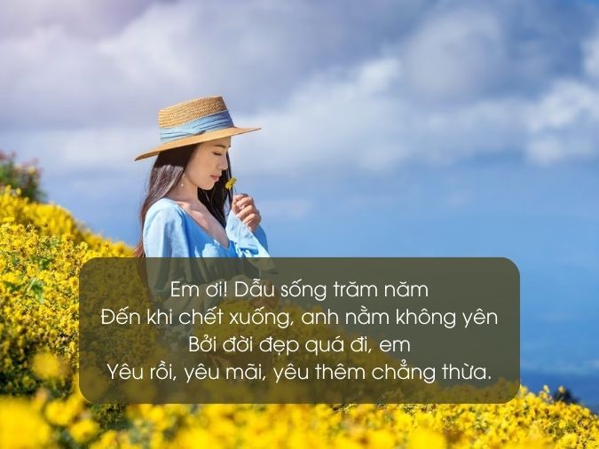 Thơ Ý Nghĩa Cuộc Sống: Những Giai Điệu Của Tâm Hồn Gallery 1