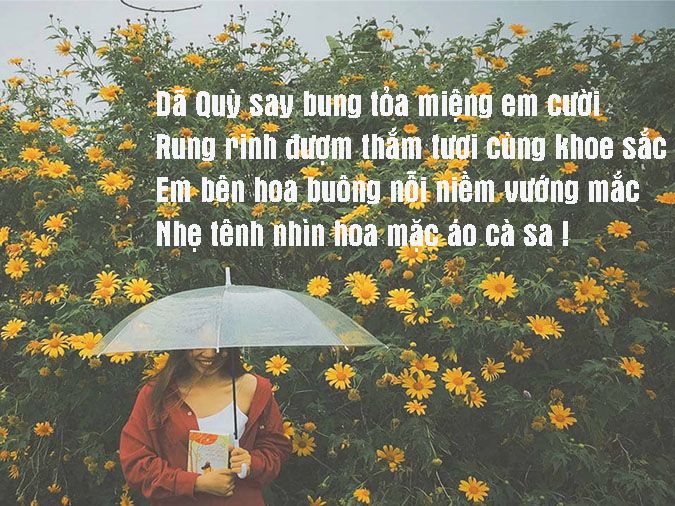 Thơ Văn Hay: Tìm Vẻ Đẹp Trong Từng Con Chữ Gallery 2