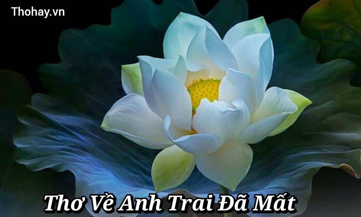 Thơ Về Anh Trai Đã Mất - Nỗi Nhớ Thương Da Diết