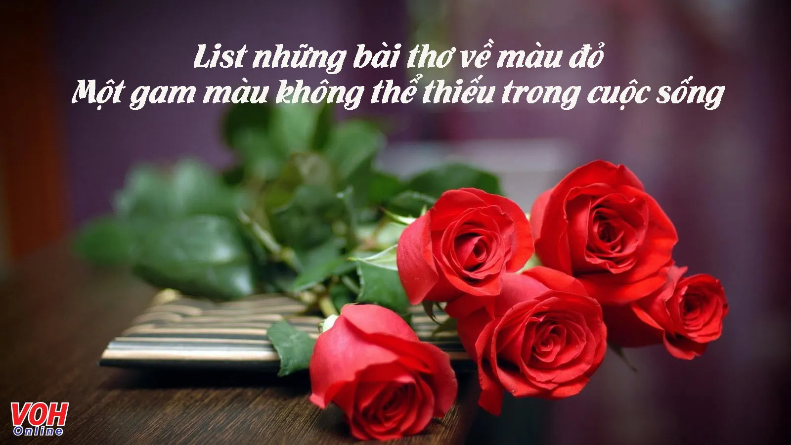 Thơ Về Áo Đỏ: Lửa Rực Rỡ Trong Gió Thơ