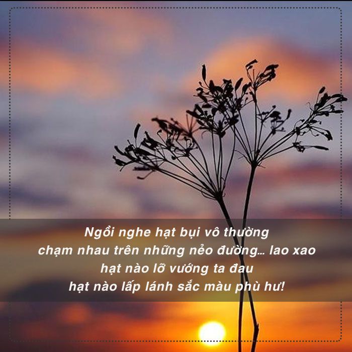 Thơ về Cuộc Sống Vô Thường: Chiêm Nghiệm Sự Biến Đổi Của Cuộc Đời