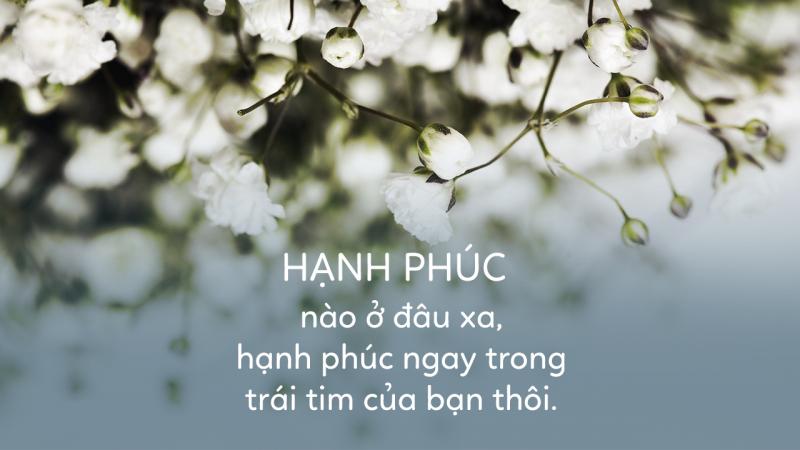 Thơ Về Hạnh Phúc: Tìm Vẻ Đẹp Trong Từng Khoảnh Khắc