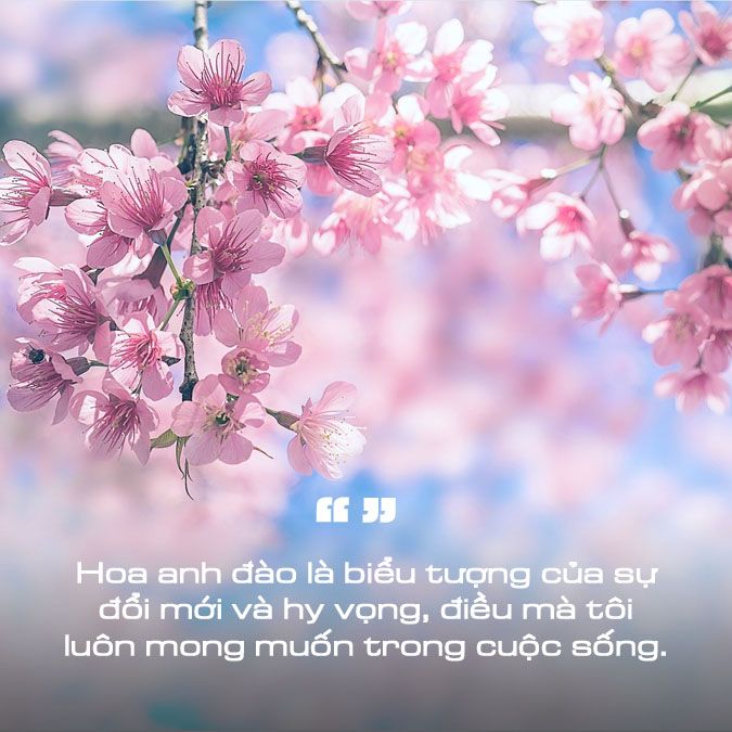 Thơ Về Hoa Anh Đào: Tuyệt Tác Thi Ca Về Loài Hoa Quyến Rũ