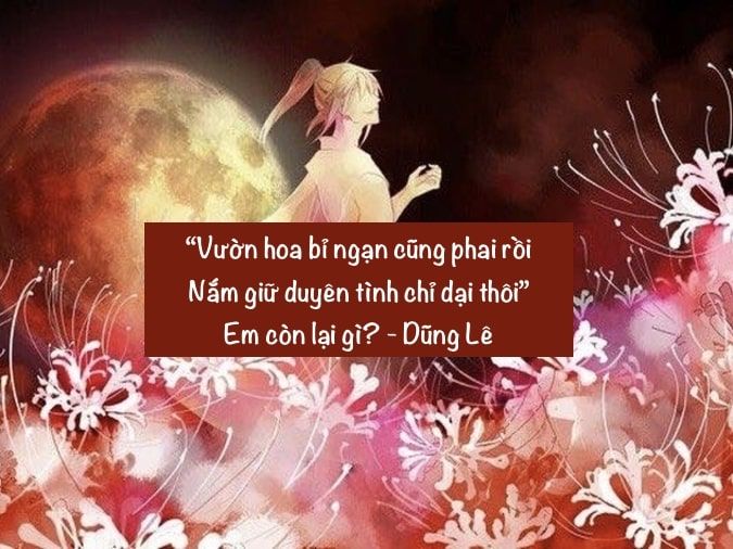 Thơ về Hoa Bỉ Ngạn 2 Câu Gallery 1