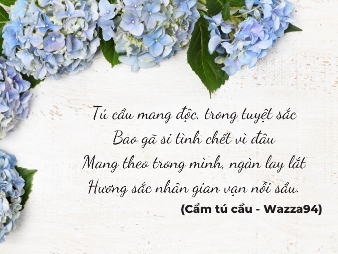 Thơ về Hoa Cẩm Tú Cầu