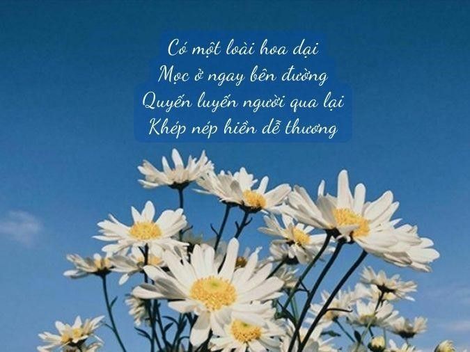 Thơ về hoa dại ven đường