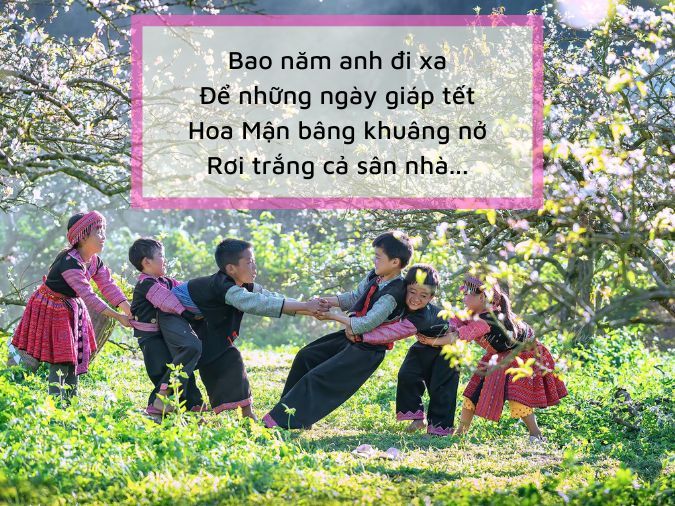 Thơ về Hoa Mận: Hương Sắc Miền Cao Nguyên