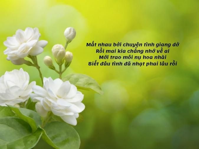 Thơ về Hoa Nhài