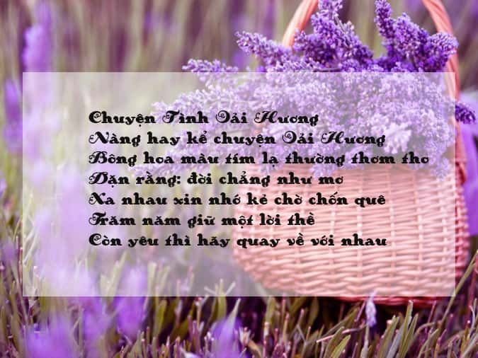 Thơ Về Hoa Oải Hương – Mùi Hương Tím Ngát Của Đồng Núi