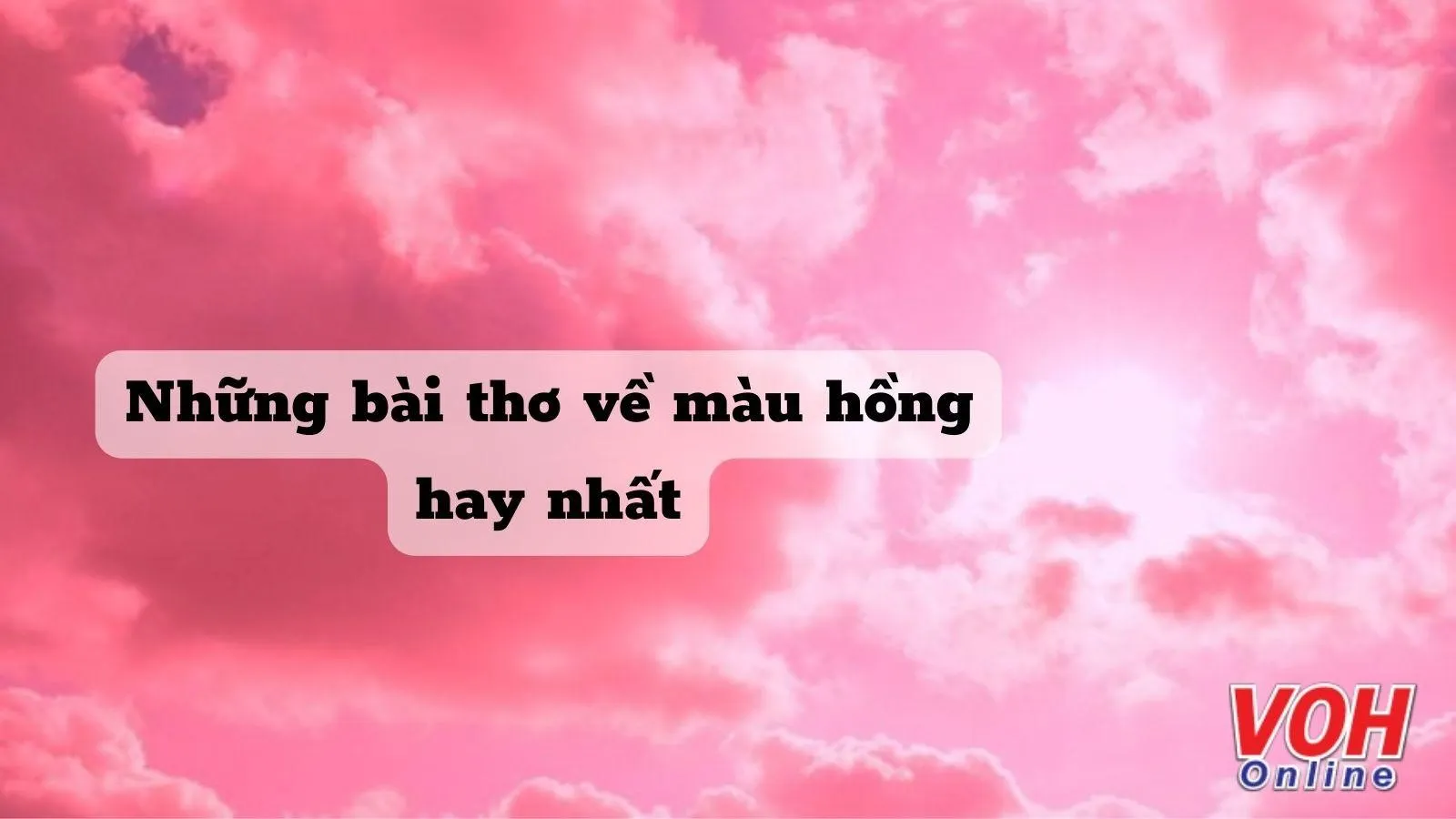 Thơ về màu hồng Gallery 2