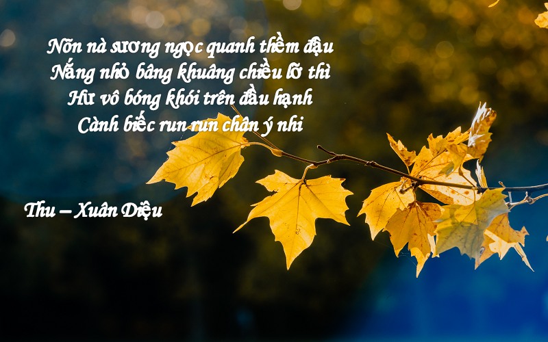 Những Bài Viết Về Mùa Thu Hay Nhất Gallery 2