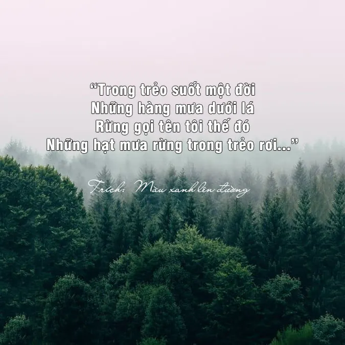 Thơ về núi rừng và tình yêu: Tình ca giữa đại ngàn