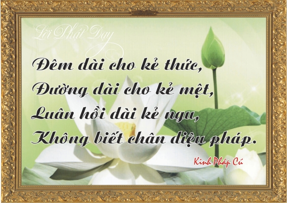 Thơ Về Phật Pháp:  Âm Vọng Từ Bi Và Giác Ngộ