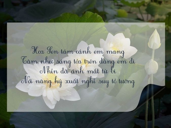 Thơ Về Sen Trắng - Tinh Khí Ngát Ngào, Thuần Khiết Tâm Hồn