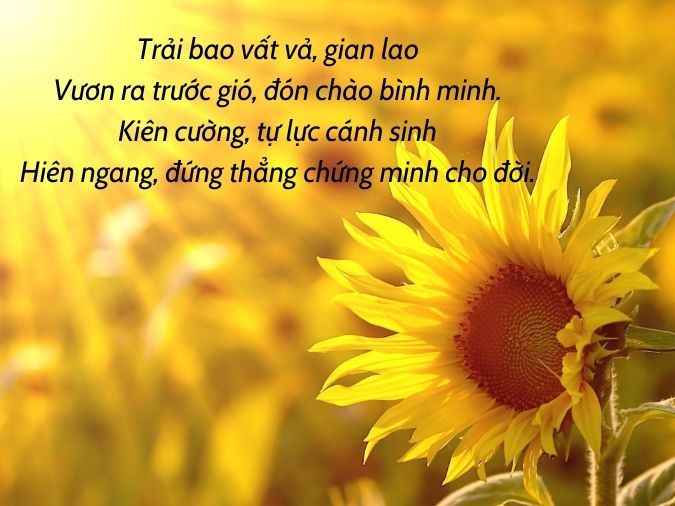 Thơ về Sự Cố Gắng: Khát Vọng Và Thành Quả