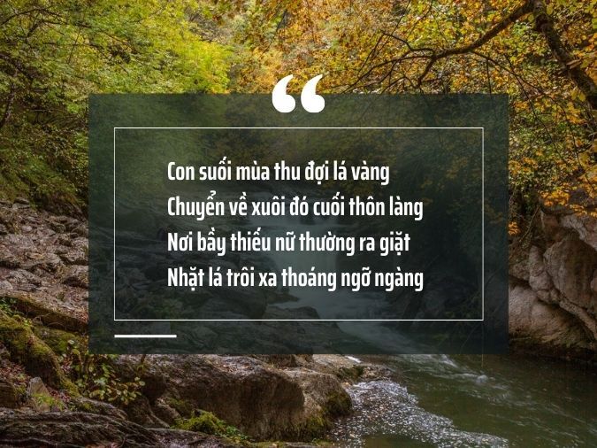 Thơ về Suối Rừng - Vẻ Đẹp Hoang Sơ Của Thiên Nhiên