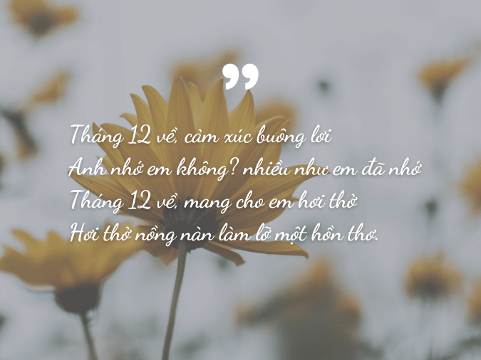 Thơ về tháng 12: Mùa Yêu Thương Và Hy Vọng