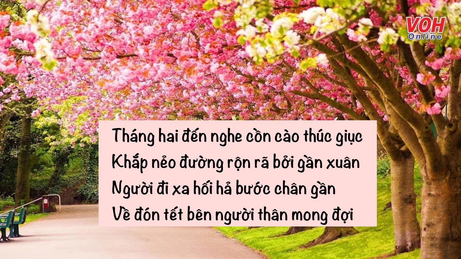Thơ Về Tháng Hai - Mùa Xuân Ngàn Hoa