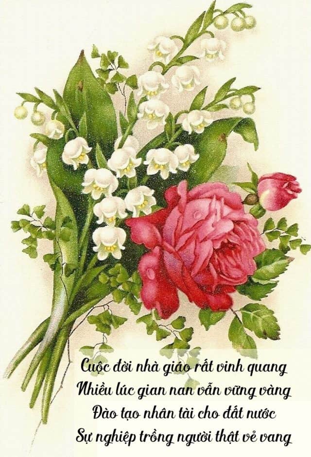 Thơ về thầy cô giáo tự sáng tác