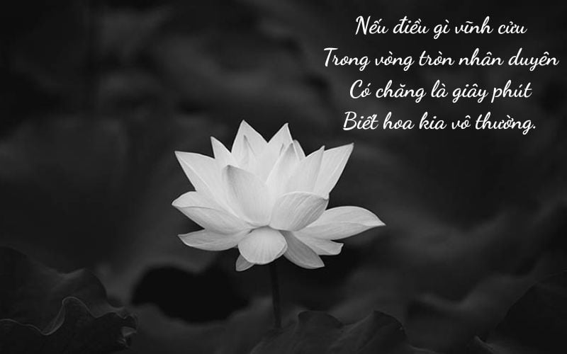 Thơ Vĩnh Biệt Bà Ngoại - Lời Từ Biết Đầy Xúc Động