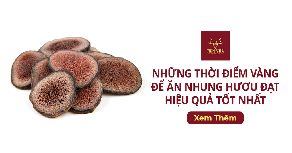Ăn nhung hươu vào lúc nào? Gallery 1