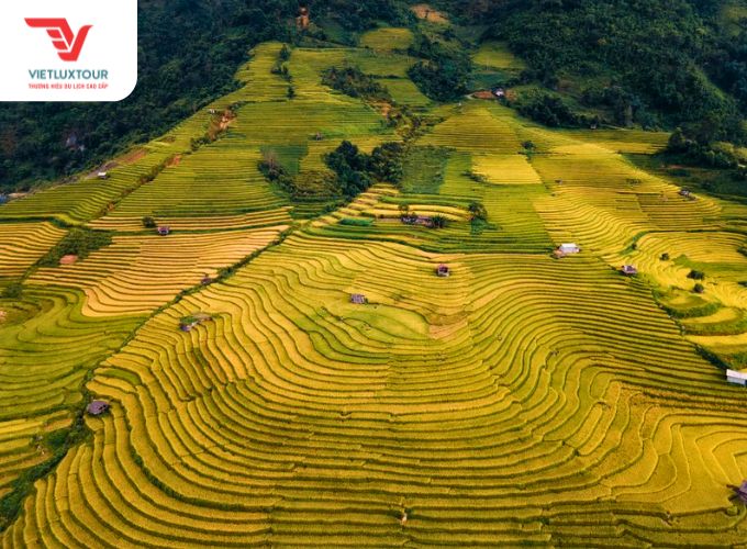 Mùa Lúa Chín Tháng Mấy? Gallery 1