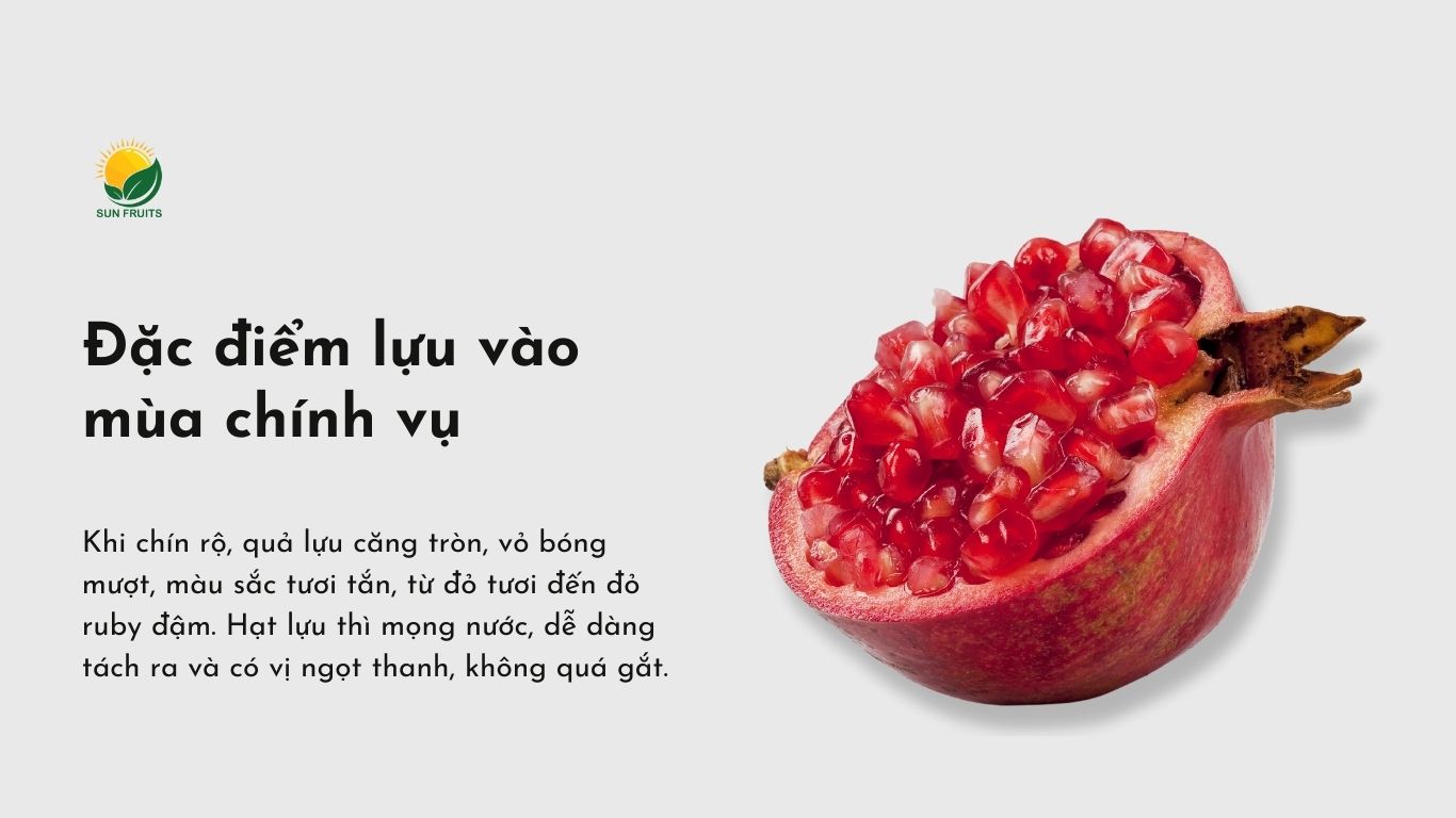 Mùa Lựu Tháng Mấy? Gallery 1