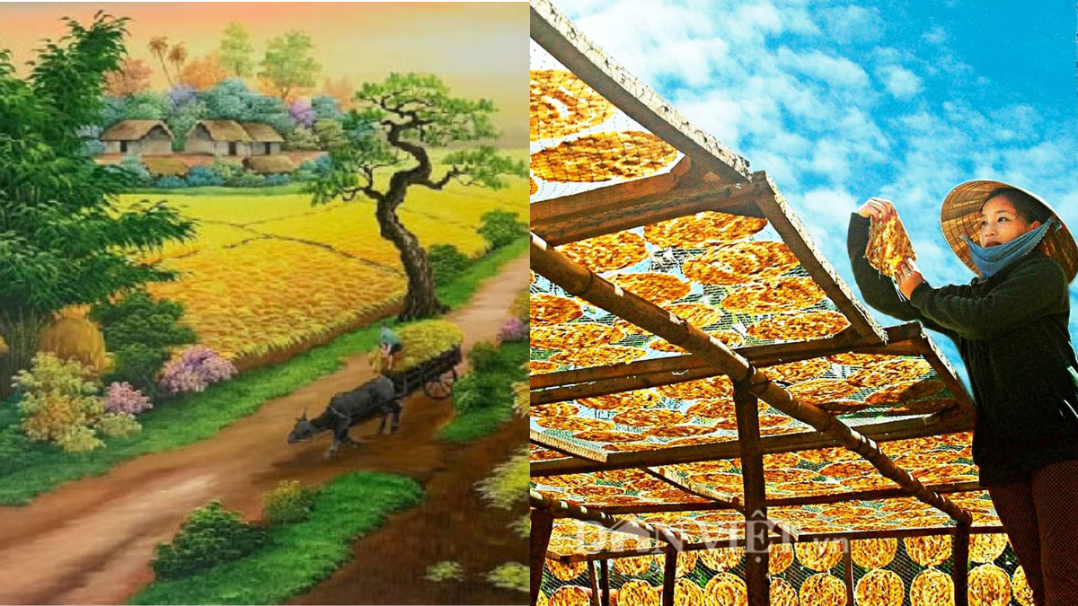 Mùa Phơi Sân Trước: Thời Điểm Lý Tưởng & Cách Phơi Hiệu Quả Gallery 1