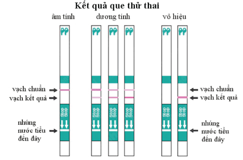 Thử que vào thời điểm nào? Gallery 1