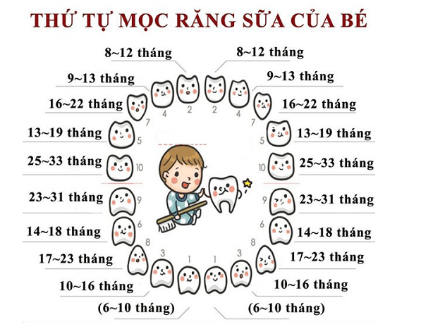 Trẻ Mấy Tháng Bắt Đầu Mọc Răng? Gallery 1