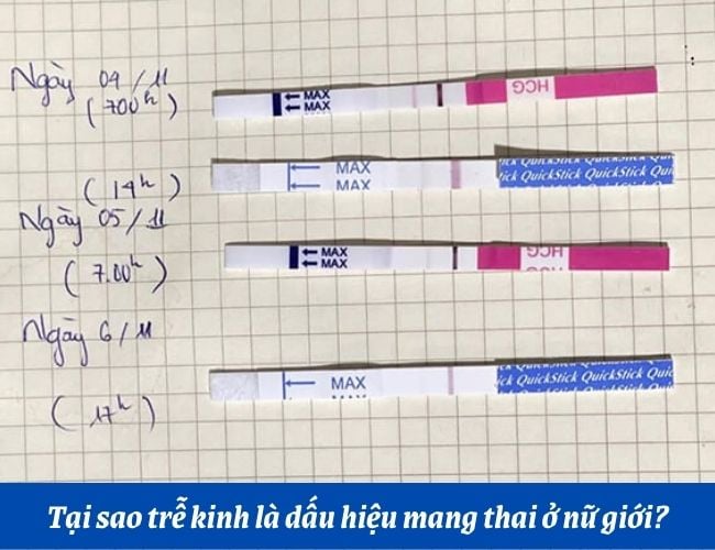 Có Thai Mấy Tuần Thì Siêu Âm Thấy? Gallery 1