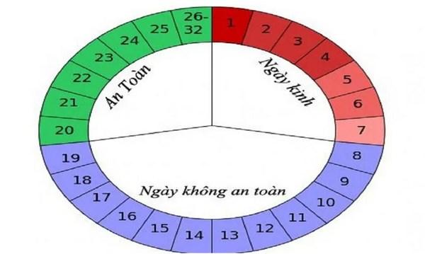 Chó Tới Tháng Mấy Ngày? Gallery 1