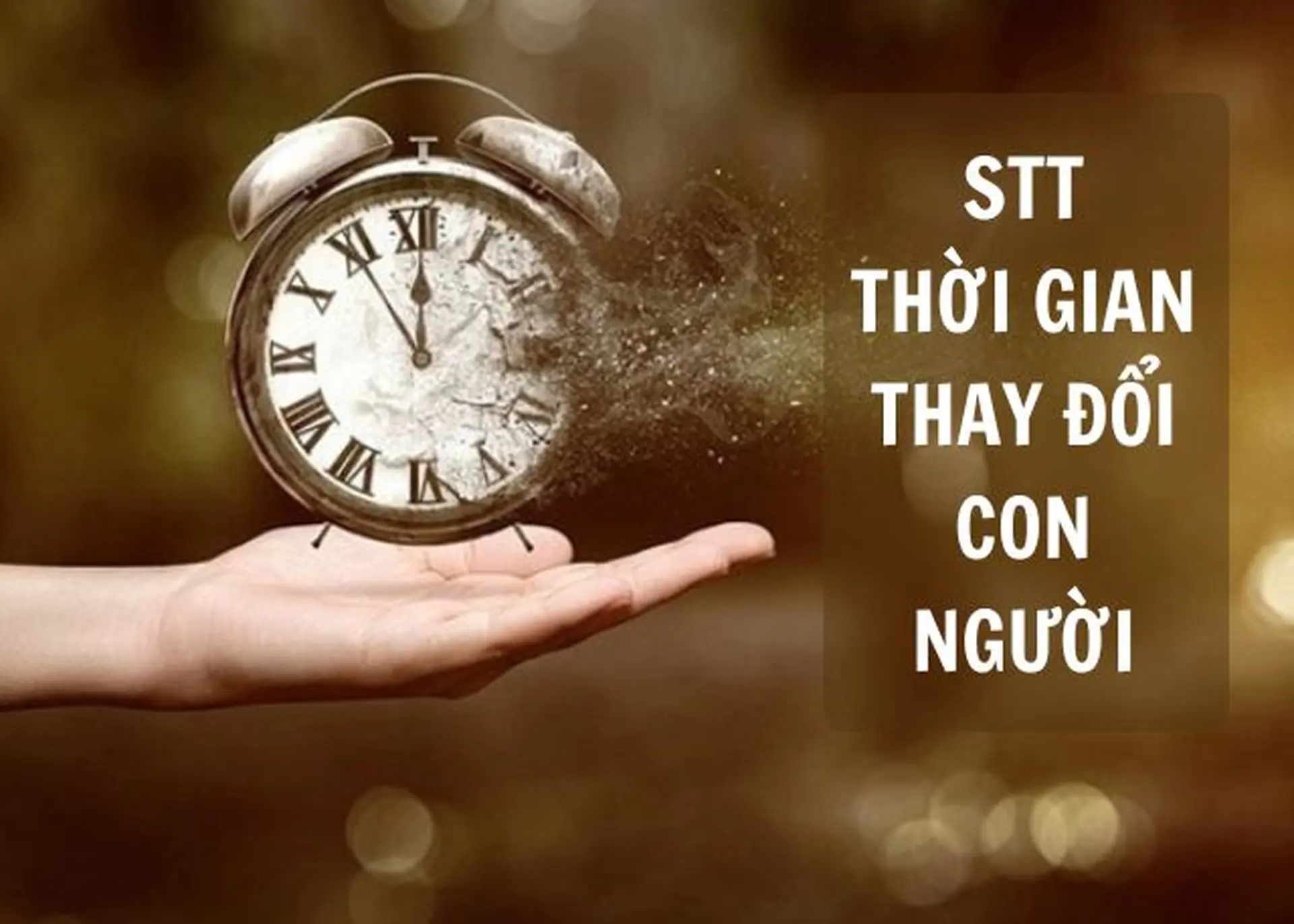 Sức mạnh của thời gian Gallery 1