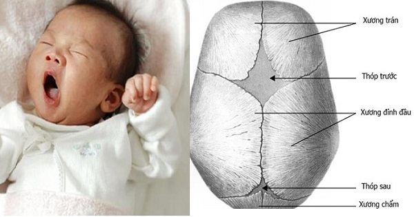 Khi nào trẻ đóng thóp? Gallery 2