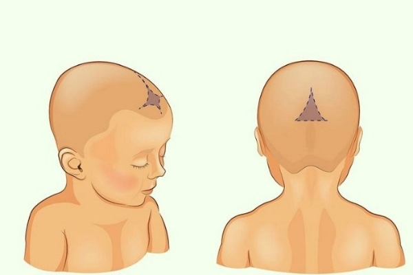 Trẻ Bao Nhiêu Tháng Đóng Thóp? Gallery 1