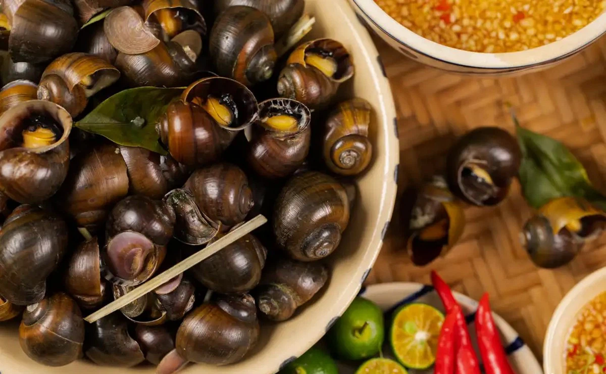Luộc ốc bao lâu chín? Gallery 1