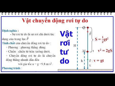 Thời gian rơi tự do là bao nhiêu?