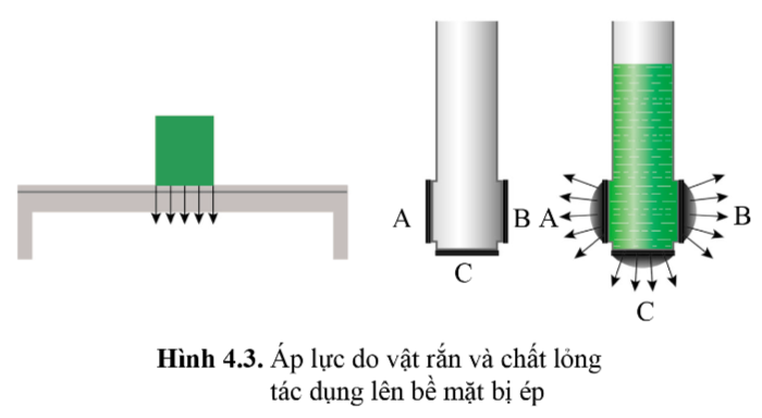 Tác dụng của áp lực phụ thuộc vào Gallery 2