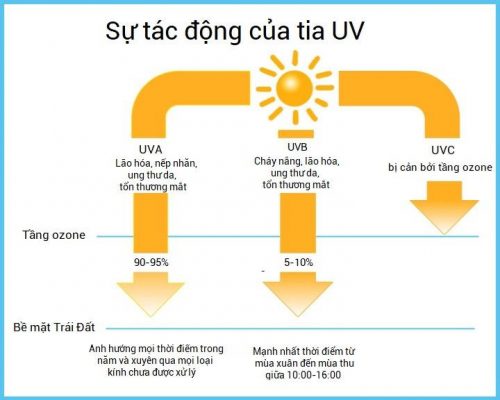 Tắm nắng mấy giờ là tốt? Gallery 2