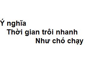Thời gian trôi nhanh như chó chạy ngoài đồng