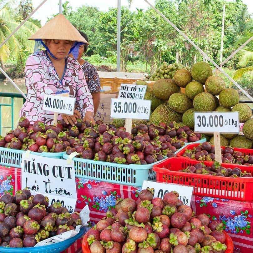 Lễ hội trái cây Lai Thiêu Gallery 1