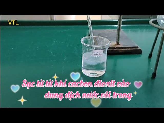 Thổi khí CO2 vào dung dịch Ca(OH)2 dư