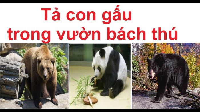 Tả một con vật nuôi trong vườn thú ngắn gọn Gallery 2