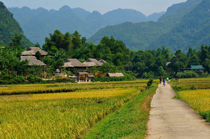 Thời tiết Bản Lác Mai Châu Hòa Bình Gallery 1