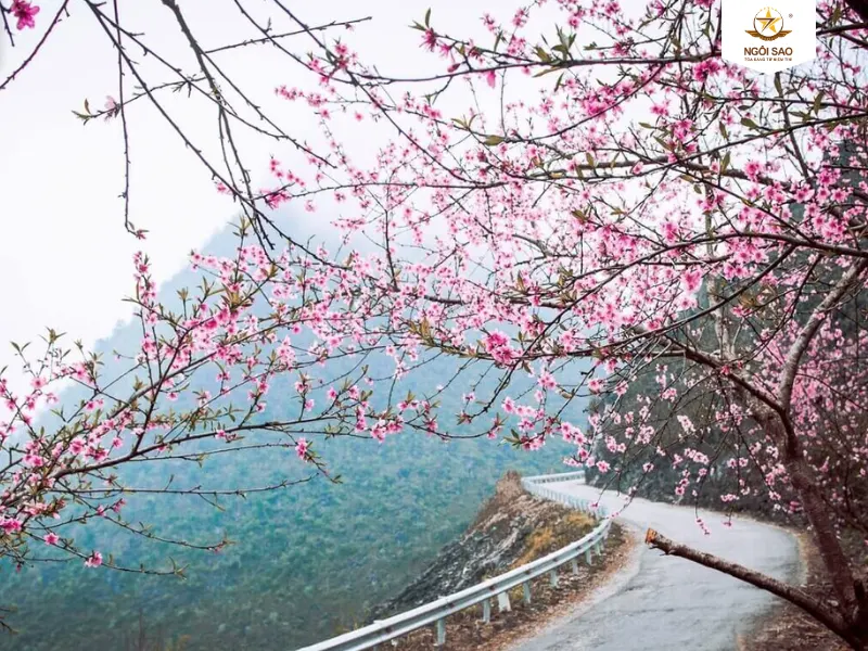 Thời tiết mùa xuân như thế nào? Gallery 2