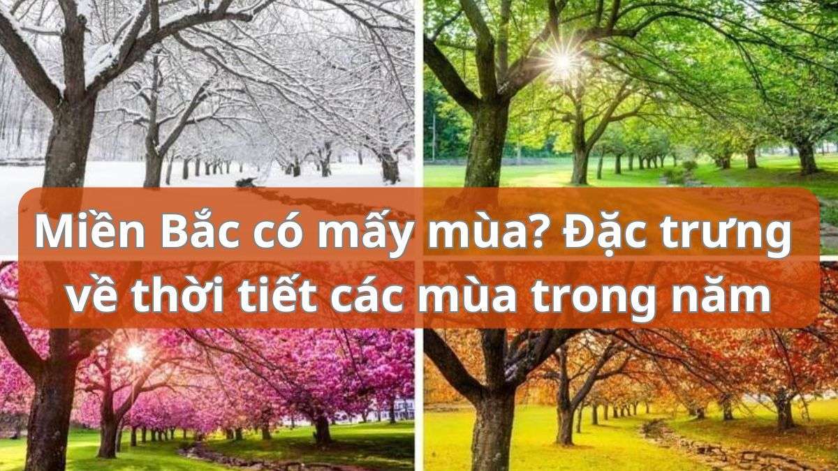 Thời tiết mùa xuân thế nào? Gallery 2