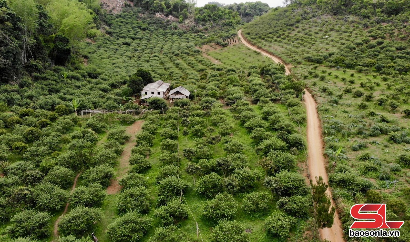 Thời tiết Phiêng Khoài